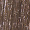 DUNKELBRAUN / SILBER / GOLD