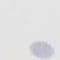 SLATE PIN DOT PRINT