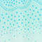TURQUOISE / BLANC