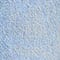405 LIGHT BLUE DENIM