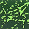 VERDE ÎNCHIS / VERDE NEON