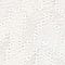 BÍLÁ