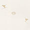 WEISS / GOLD