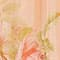 HELLORANGE / ROSÉ / OLIV