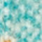 NEONTURQUOISE / CRÈME / ZALM