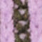LILAS CLAIR / OLIVE