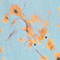 LIGHT BLUE / ORANGE / DARK YELLOW