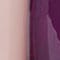 CREAM / DARK PURPLE / GREEN