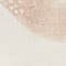 ECRU / BRAUN / BEIGE
