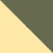 GOLD/GREEN POLARIZED