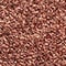 BRONZED GARNET