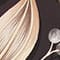 BEIGE / GRAU / SCHWARZ
