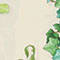 GREEN / ECRU / PURPLE