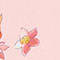 ROSA / ROT / WEISS