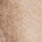 CRÈME / BEIGE / TAUPE