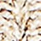 LIGHT BROWN / GOLD / DARK BROWN