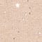 BEIGE / SILBER