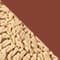 BEIGE / GOLD / BRAUN