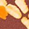 DARK RED / ORANGE / BLACK