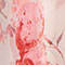HELLROSA / ALTROSA / FUCHSIA