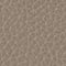 TAUPE / SILBER
