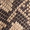 CAMEL / MARRON FONCÉ / WIT