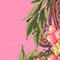 DUSKY PINK / DARK PURPLE / GREEN