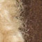 MARRON FONCÉ / BEIGE