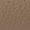 TAUPE / GOLD