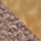 HELLBRAUN / TAUPE