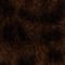 DARK BROWN / BLACK