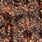 DARK BROWN / LIGHT ORANGE / DARK ORANGE