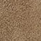 CAMEL / GOUD