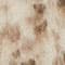 CREME / TAUPE / DUNKELGRAU