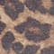 LEO PRINT