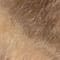 BEIGE / BRAUN