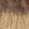 BEIGE / BRUIN