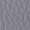 BLUE GRAY