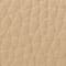 BEIGE / GOLD