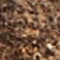 BROWN / BEIGE