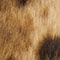 BRAUN / BEIGE / BLAUGRAU
