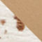 ECRU / DARK BROWN