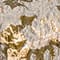 OLIVE / GOLD / TAUPE