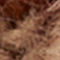 DARK RED / DARK ORANGE / LIGHT BLUE