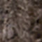 truffle melange