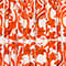 WHITE / ORANGE
