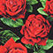 SCHWARZ / ROT / GRÜN
