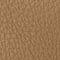 CAMEL / GOLD