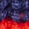 DARK BLUE / RED