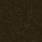 599 forest night new